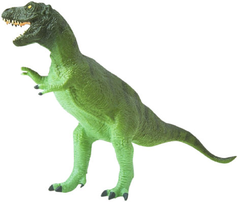 Tyrannosaurus rex picture 6
