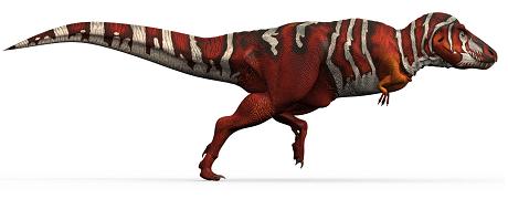 Tyrannosaurus rex picture 14