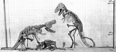 Tyrannosaurus rex reconstruction by Henry Fairfield Osborn - Note: Inaccurate tripod pose